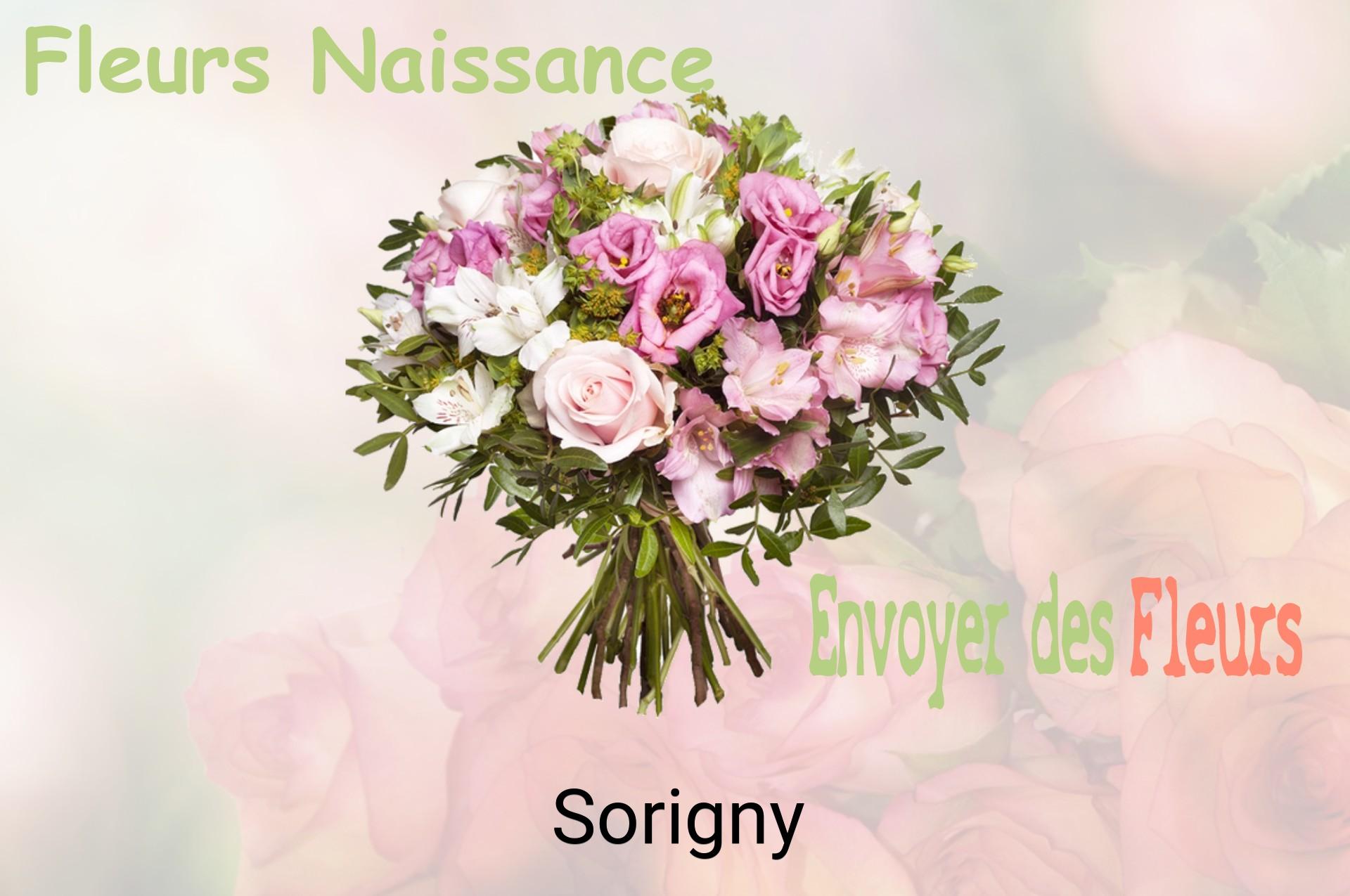 Bouquet de fleurs de naissance livré à Sorigny